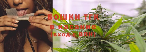 индика Белоозёрский