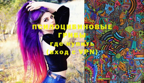 индика Белоозёрский