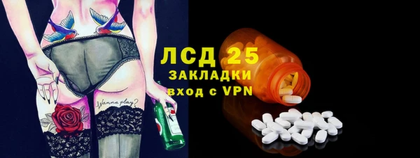 индика Белоозёрский