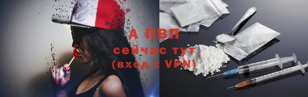 индика Белоозёрский