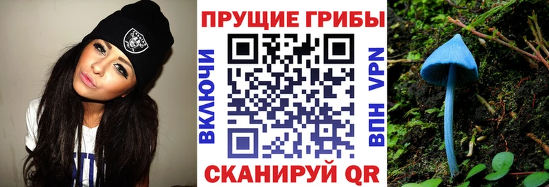 KRAKEN сайт магазин продажи наркотиков Пестово Псилоцибиновые грибы Psilocybe